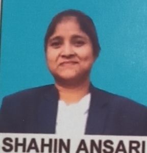 Shahin Ansari